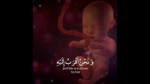 تلاوة هادئة تريح الأعصاب😴🌸|القارئ حمزة بوديب - سورة ق.