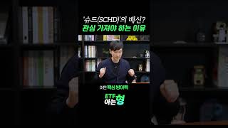 하락장에서 멘탈 잡는 ETF? SCHD 슈드가 '코어 방어력' 끝판왕인 이유