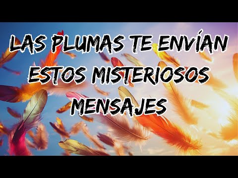 El misterioso significado de encontrar una pluma a tu alrededor