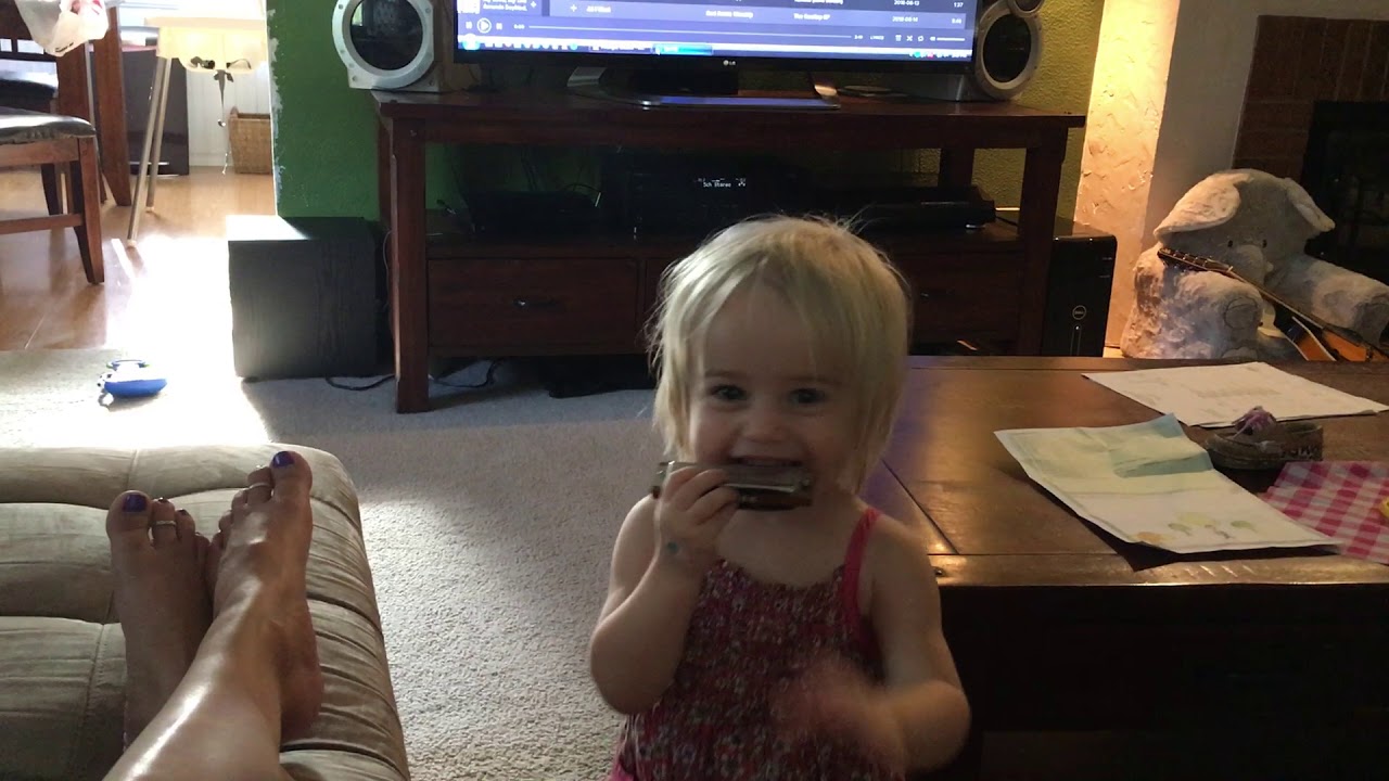 harmonica laughing YouTube