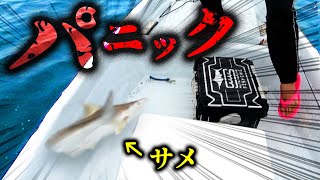 【恐怖】小型船でサメが釣れて大パニック、足元で大暴れ