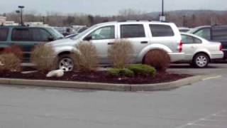 Consumer Square New Hartford