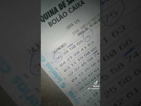 Luva Bet: o Melhor Casino Online do Brasil