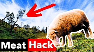 The Shady Hack Behind The Most Flavorful Meats by PJ Howland 3,170 views 5 months ago 8 minutes, 16 seconds