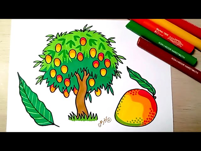 How to Draw a Mango for Kids | Drawing For Kids | Educational videos by ...  | Drawing videos for kids, Drawing for kids, Educational videos