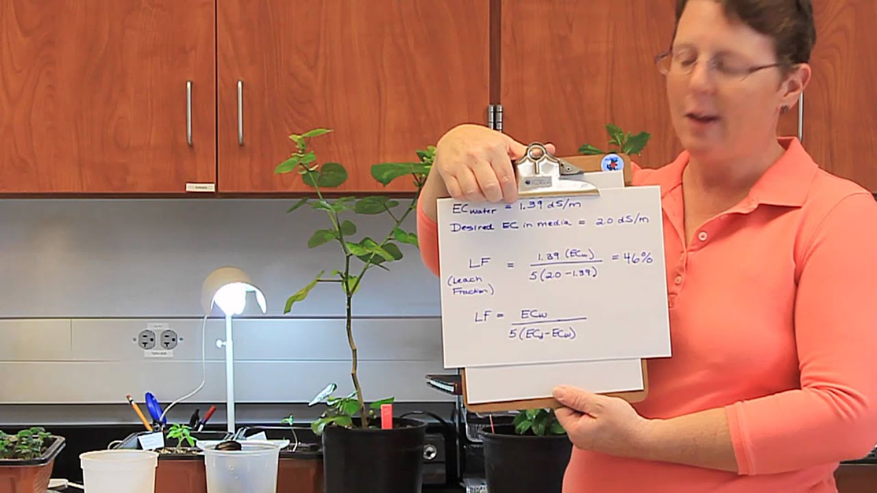 Salt Equation with Wastewater {UF/IFAS/FLREC}
