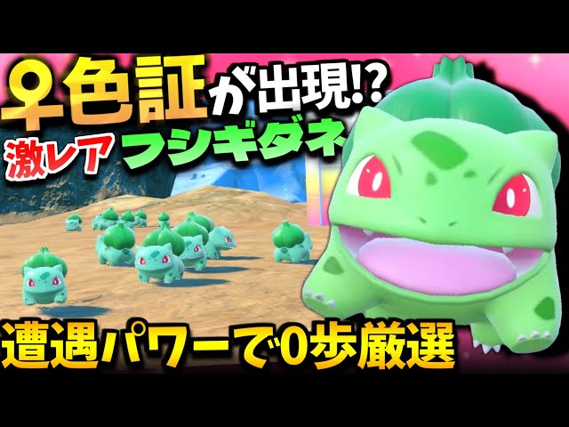 解説あり】超低確率の御三家︎︎ ♀色証がついに出現!?フシギダネの色