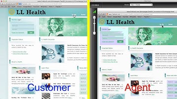 LiveLOOK Co-Browse Demo