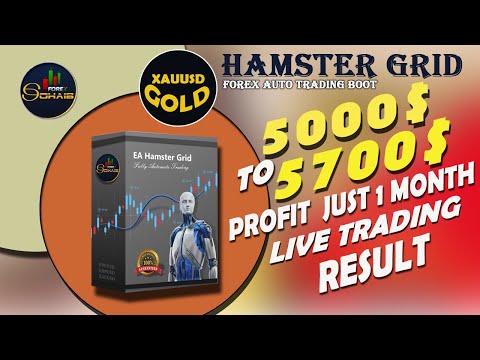 Forex HAMSTER GRID EA Auto trading Robot || XAUUSD || LIVE TRADE || 5000$ to 5700$ Profit