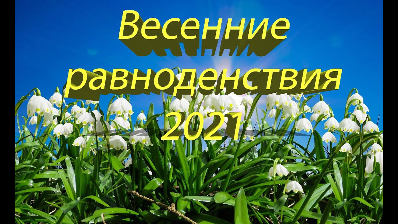 День весеннего равноденствия. День весеннего равноденствия поздравления. Аффирмация в день весеннего равноденствия. День весеннего равноденствия в 2024 приметы