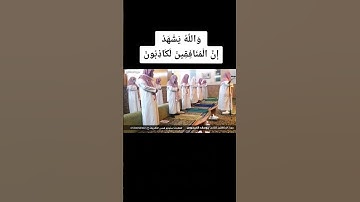والله يشهد إن المنافقين لكاذبون تلاوة هادئة