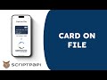 Card-on-File System with Cybersource Gateway (NodeJS + ReactJS)
