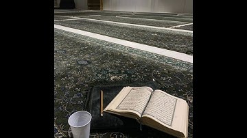 سورة الطلاق بصوت القارئ الشيخ ماهر المعيقلي