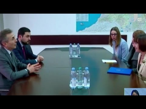 შეხვედრა აშშ-ს ელჩთან