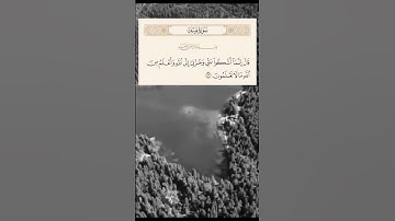 القرآن الكريم بصوت جميل وخاشع / حالات واتس اب / القران الكريم ستوريات انستقرام واتس اب