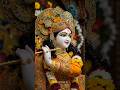 #jari ki pagdi bandhe sundar ankhon wala#krishna bhajan short#youtube short video#