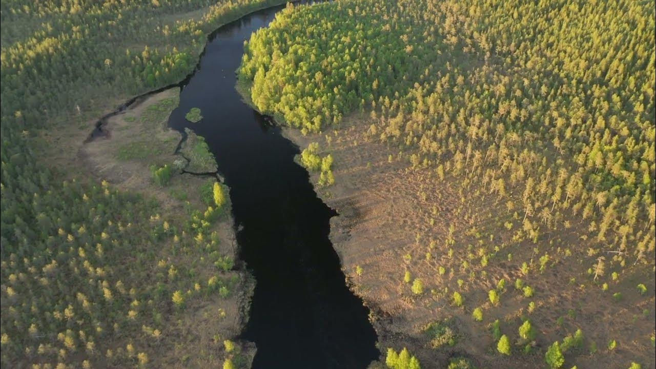 Река летняя Карелия