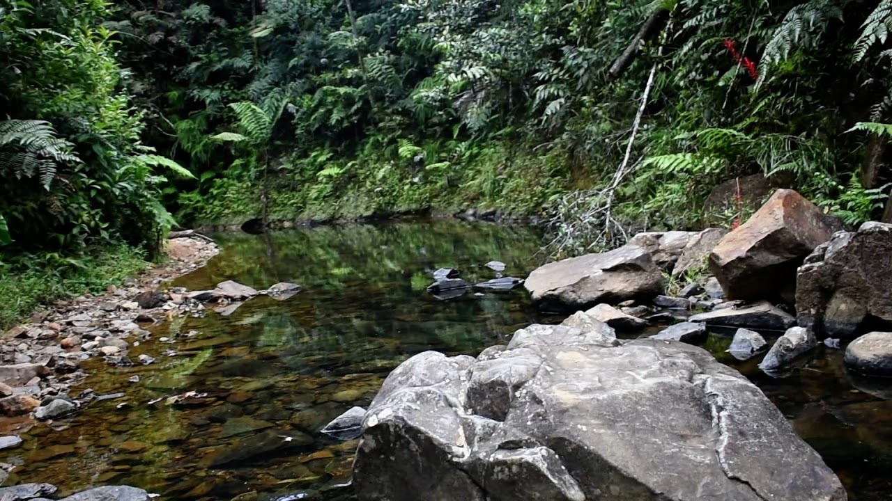 Patillas, Puerto Rico