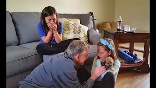 Puppy Surprise Reactions  Tears of Joy (2017)