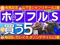 【ホープフルステークス2024】コース適性・能力比較がカギ！大混戦で勝つ２歳馬は？超話題馬クロワデュノール、マジックサンズの近況は？