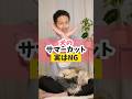 犬のサマーカット実はNG#犬のいる暮らし #dog #shorts