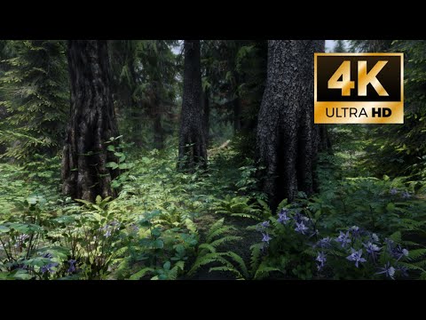 (4K) -  Skyrim Vanilla VS 2022 Modded Graphics Comparison!