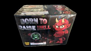 Born to Raise Hell - Pyro Demon #fireworks