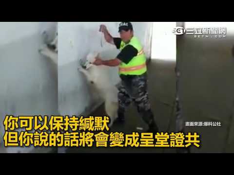 這犯人也太萌了吧！  ｜三立新聞網SETN.com