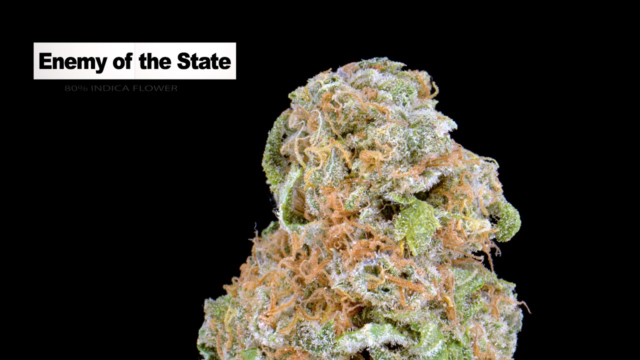 Enemy Of The State From Coffeeshop Relax | Dam Connections