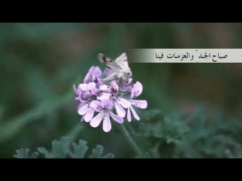 صباح الحب والقمري شادي المنشد عبدالله المهداوي رحمه الله رحمة واسعة