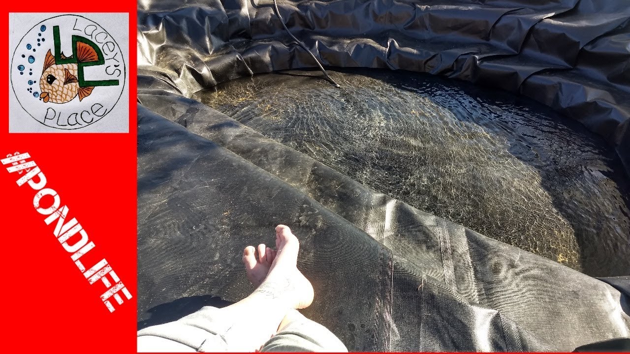 POND LINER INSTALLATION!!! YouTube