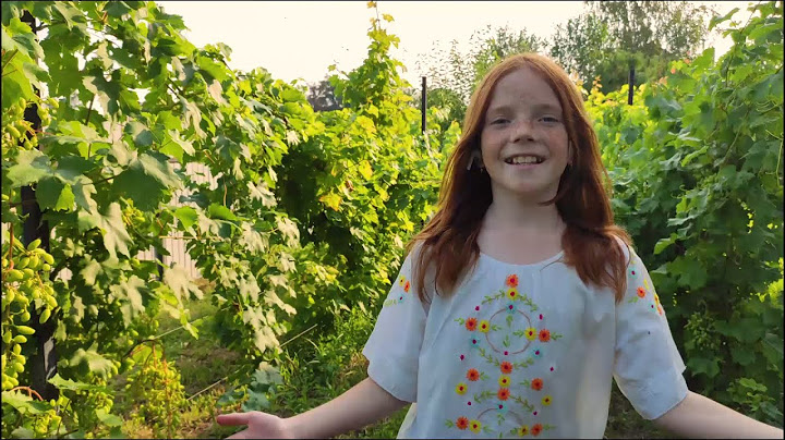 🇺🇦 Це край де я родилась і живу Ukraine Україна Марта Піддубна