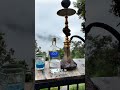 View😍✨#shorts #shortvideo