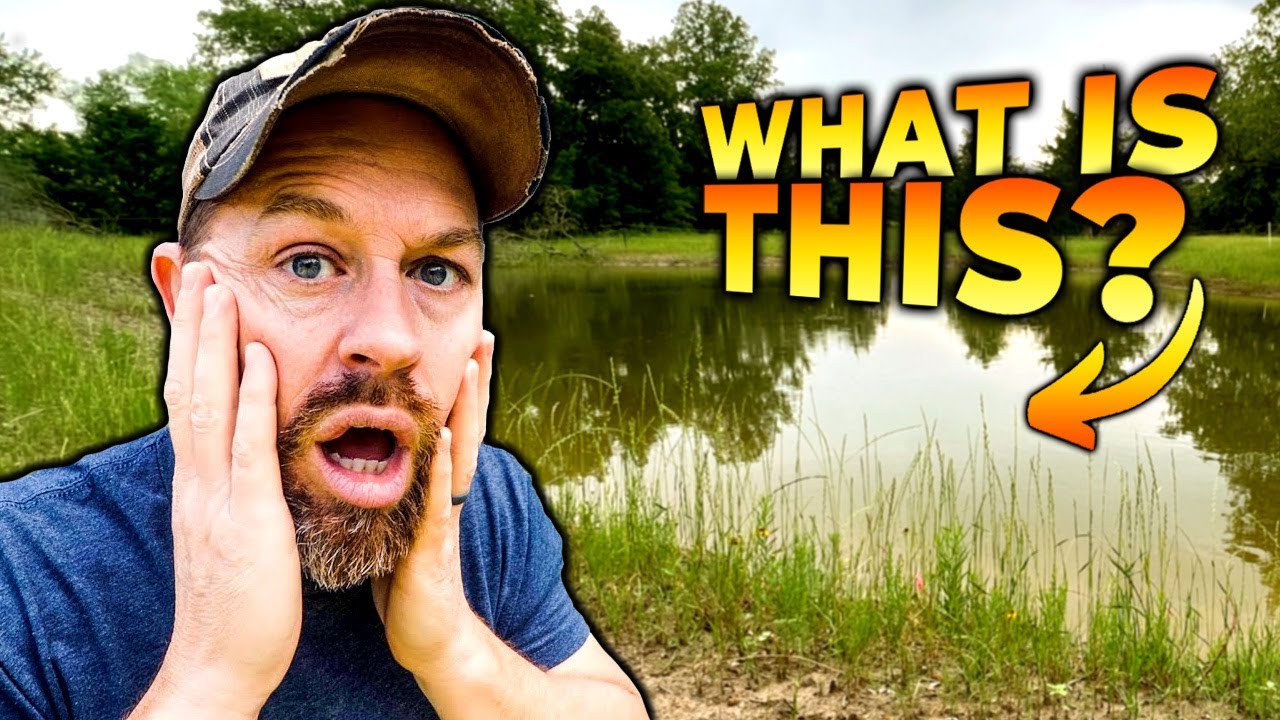 Creepy Secrets Unveiled in my Homestead Fishing Pond 😱