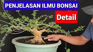 PENJELASAN ILMU BONSAI