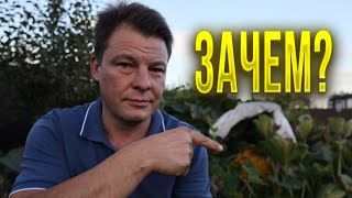 видео: Нет в жизни справедливости или почему томаты выгоднее растить, чем гигантскую тыкву картинка: Нет в жизни справедливости или почему томаты выгоднее растить, чем гигантскую тыкву