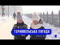 Тернопільська погода на 26 січня 2026 року
