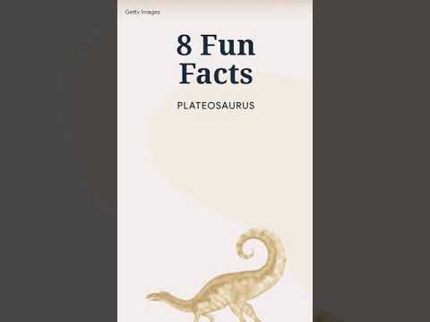 ANIMAL FUN FACTS PLATEOSAURUS