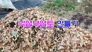 낙엽 부엽토 만들기