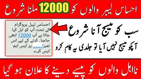 Good News || Ehsas Emergency program new update 2020 || Ehsas Labour program new update 2020