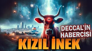 YAHUDİLERİN KIZIL İNEK KEHANETİ | BU KIRMIZI İNEK DECCAL'İN ÇAĞINI MI İŞARET EDİYOR?