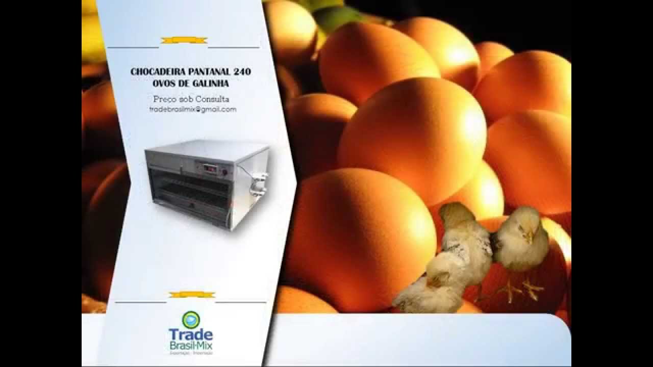 Como Exportar Produtos Do Brasil Para Portugal