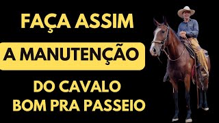 Qual exercicio fazer para a manutenção do cavalo bom pra passeio ou lida diária- seguindo método ML