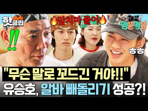 🔥당장 앞치마 벗어🔥 유승호 한 마디에 바로 팽식당으로 이직 선언하는 이은지&amp;amp;<strong>곽동연</strong>?!｜대결! 팽봉팽봉｜JTBC 250503 방송