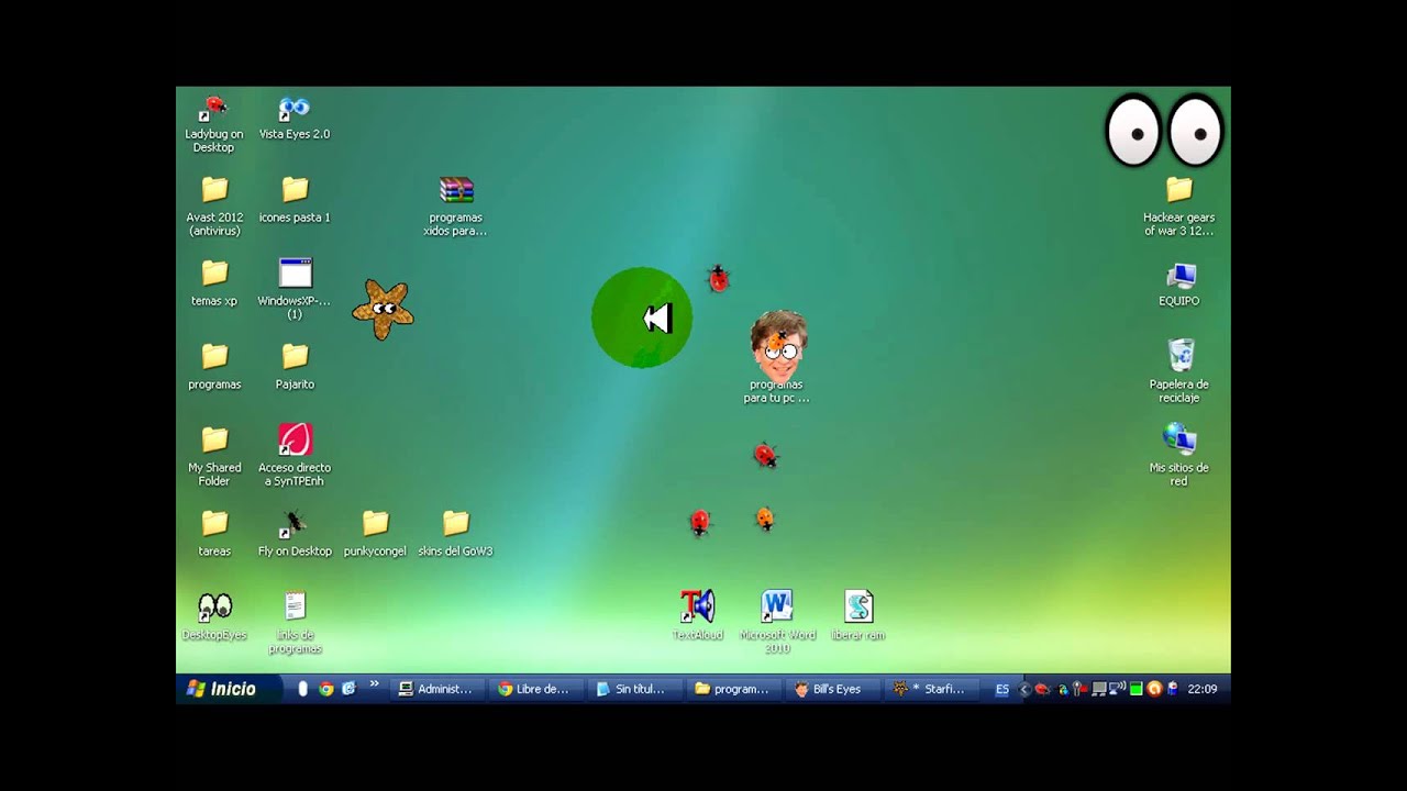 cosas chingonas para personalizar el escritorio(insectos y ...