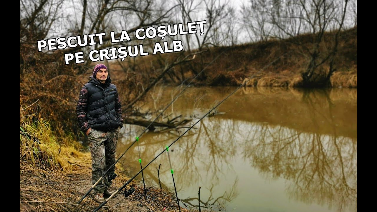 Pescuit LA COSULEȚ Pe Crișul Alb cu Viermi La Bocsig, Judetul Arad
