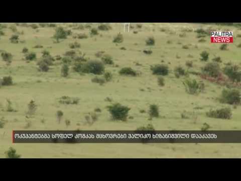 ოკუპანტებმა სოფელ კოშკას მცხოვრები ვალიკო ხიზანიშვილი დააკავეს