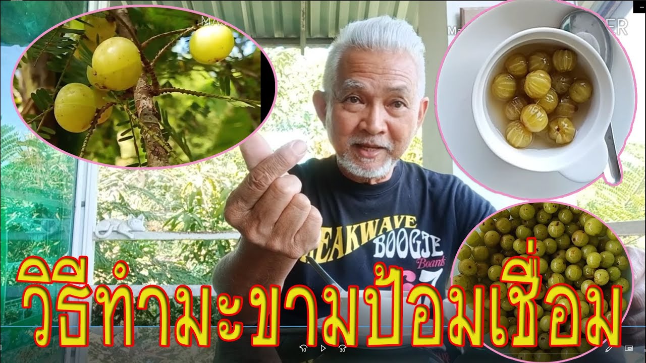 วิธีทำมะขามป้อมเชื่อม ของหวาน สมุนไพรไทยที่หากินยาก l Pai91.5