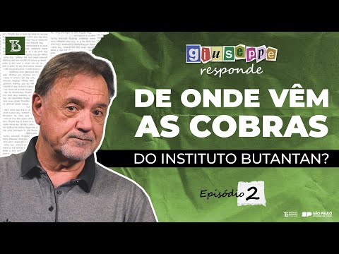 Vem com Bubutantan (A história) 