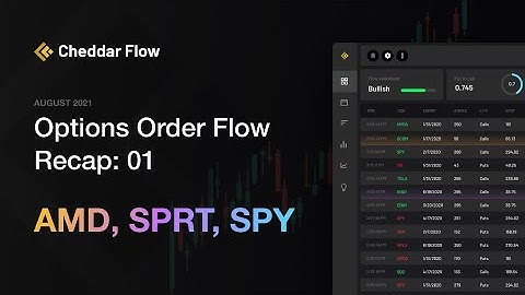 Options Order Flow Recap For August